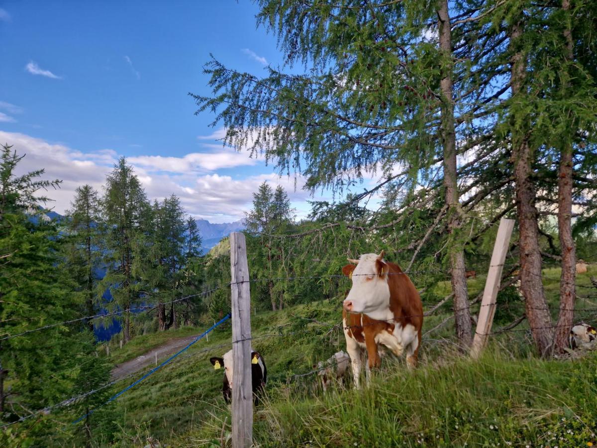 Almgasthaus Glocknerblick Großkirchheim Zewnętrze zdjęcie