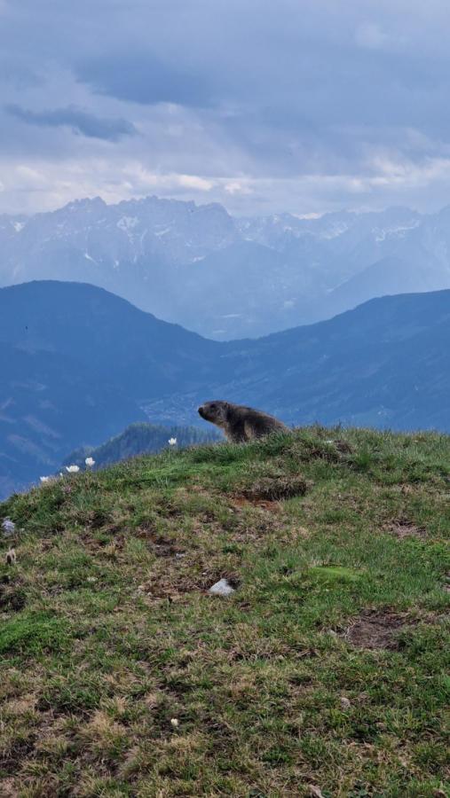 Almgasthaus Glocknerblick Großkirchheim Zewnętrze zdjęcie